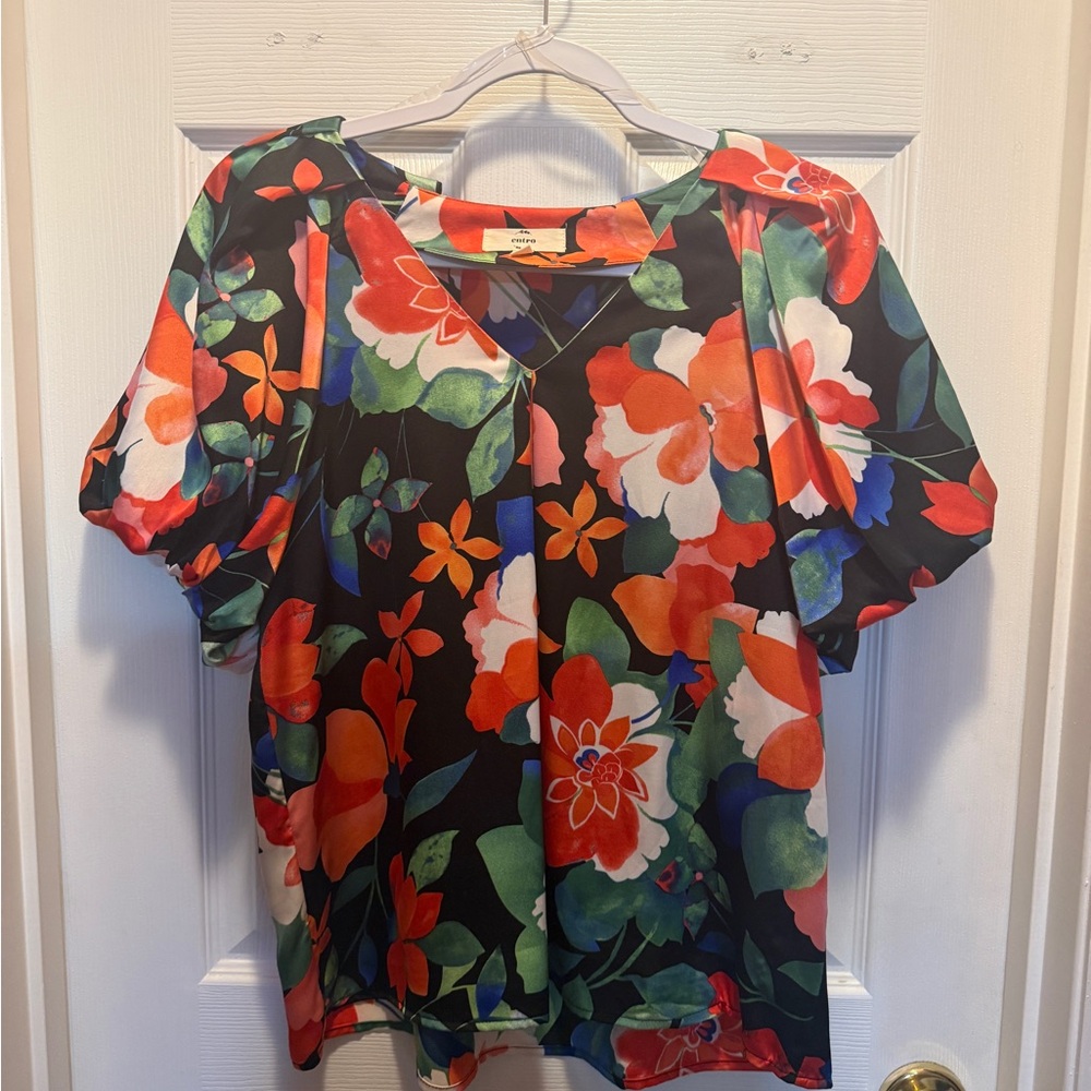 entro Black Floral V-Neck Puff-Sleeve Top with Red and Green Print